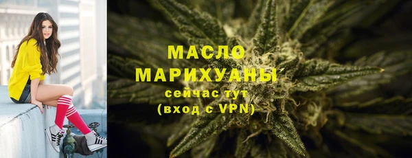 дмт Переславль-Залесский