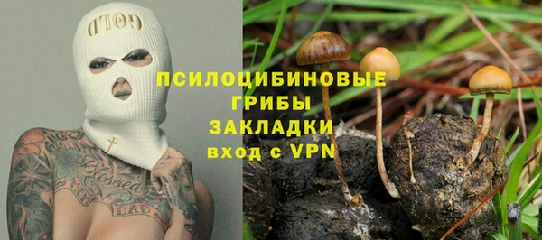 мдпв Кинешма