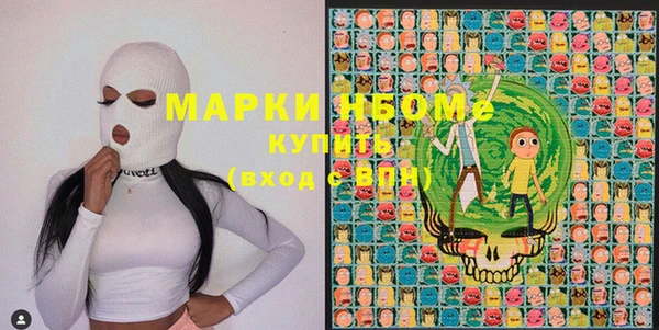 дмт Переславль-Залесский