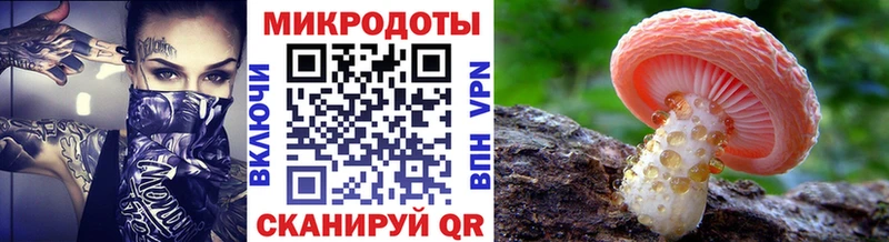 mega вход  Тобольск  Галлюциногенные грибы мицелий 