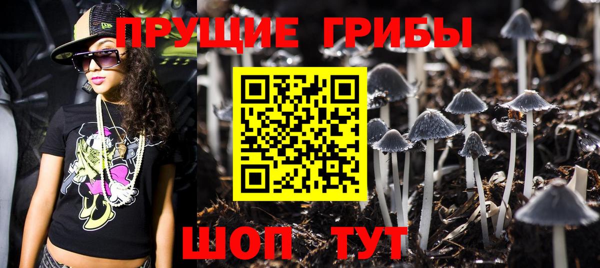 Тобольск  Псилоцибиновые грибы Psilocybine cubensis  Вход с VPN 
