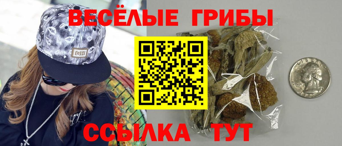 Псилоцибиновые грибы Psilocybe Тобольск
