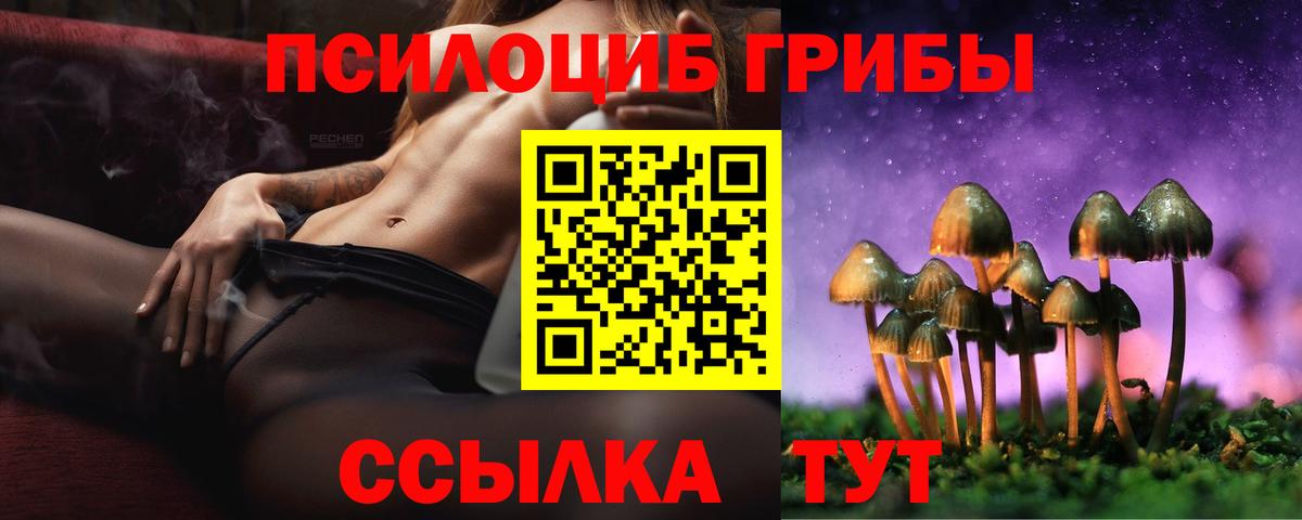 Псилоцибиновые грибы ЛСД Тобольск